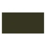 Holkham Green — Allback Linseed Oil Paint colour swatch