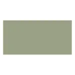 Lichen — Allback Linseed Oil Paint colour swatch