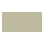Olive Green — Allback Linus Interior Wall Paint colour swatch